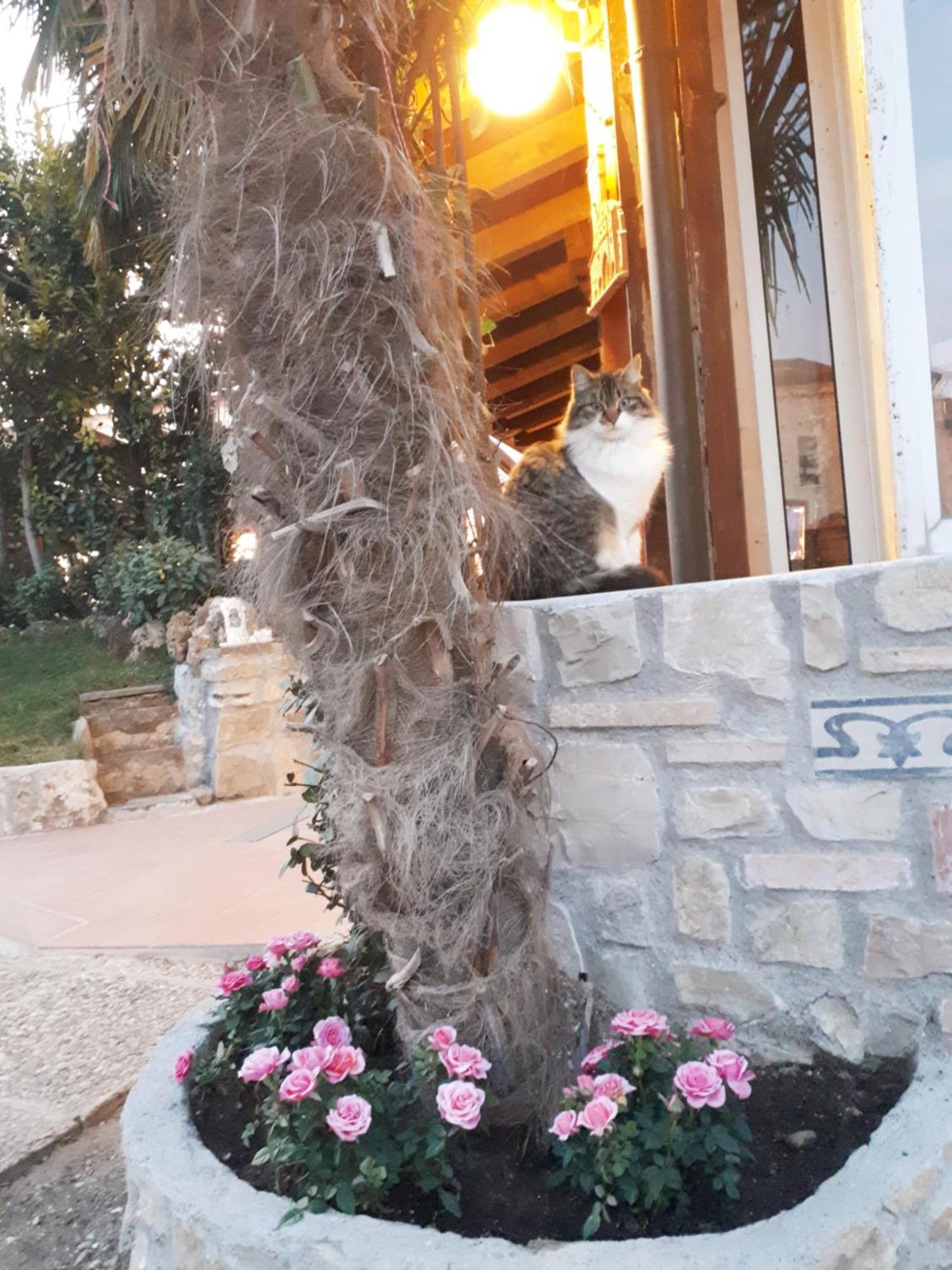 Bed and Breakfast Perla à Gussago Extérieur photo